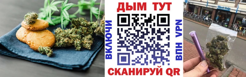 Canna-Cookies марихуана  omg как войти  Терек 