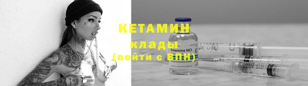 стафф Шадринск