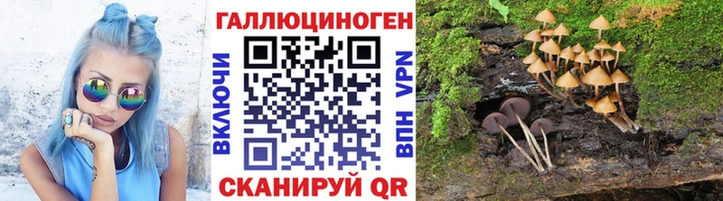 Галлюциногенные грибы мухоморы где можно купить Терек